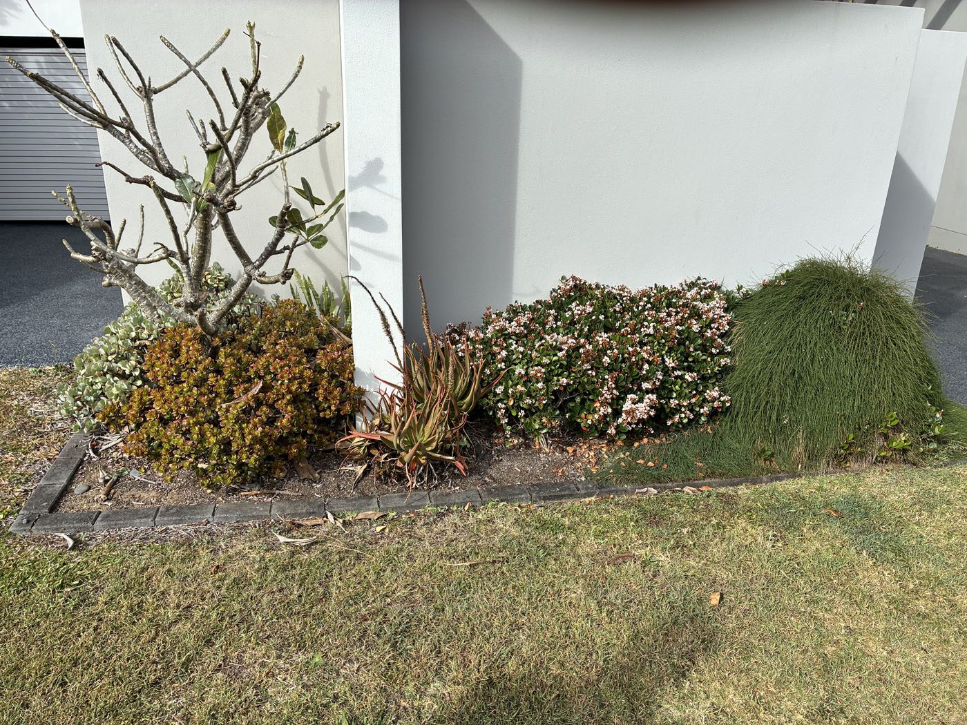 Garden bed and lawn care completed by Haider Haiwary