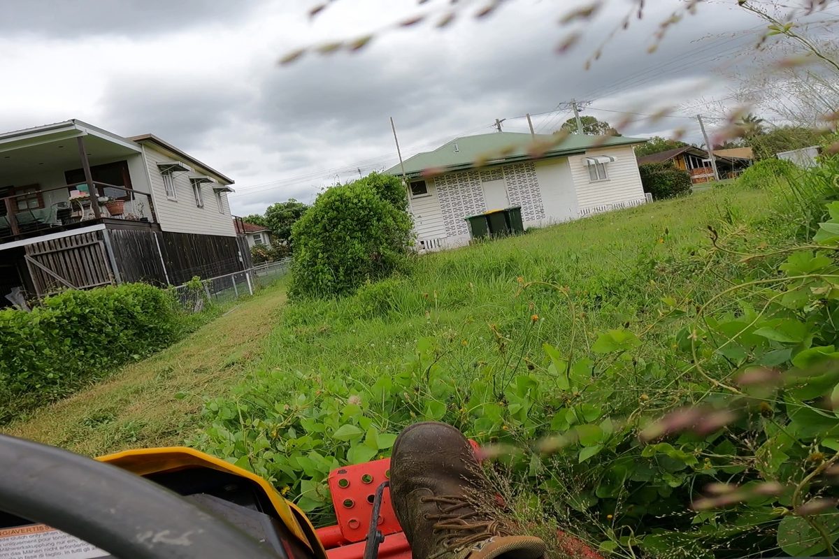 Overgrown property care from the Graham’s network