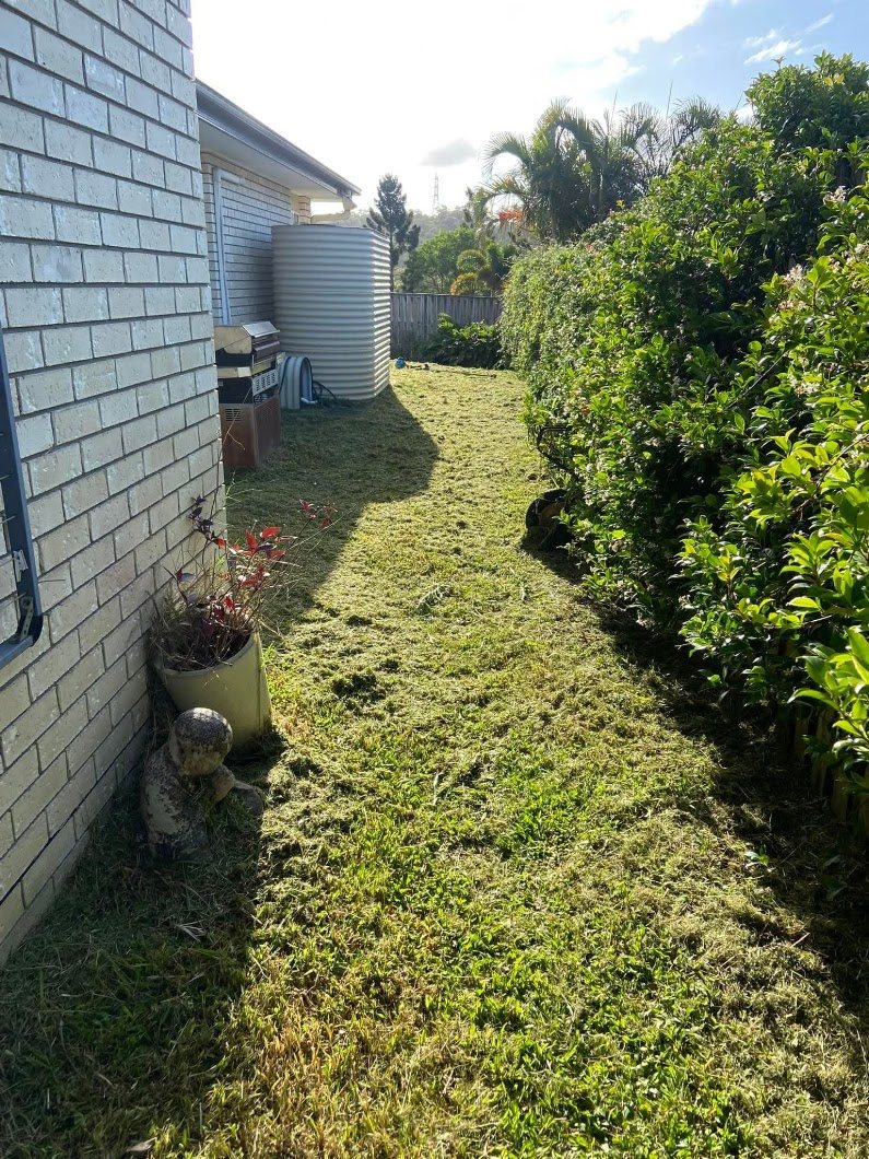 Side garden after mowing and clean-up